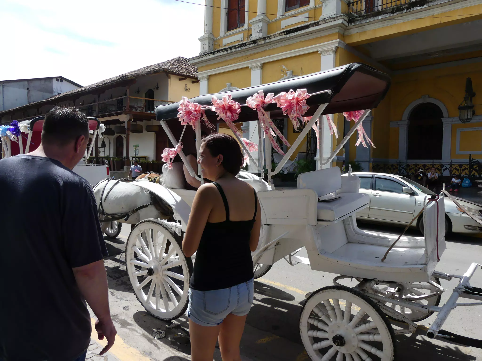 Horse Drawn Carriage Ride in Granada