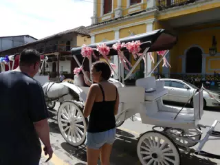 Horse Drawn Carriage Ride in Granada