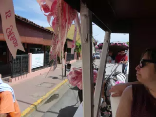 Horse Drawn Carriage Ride in Granada