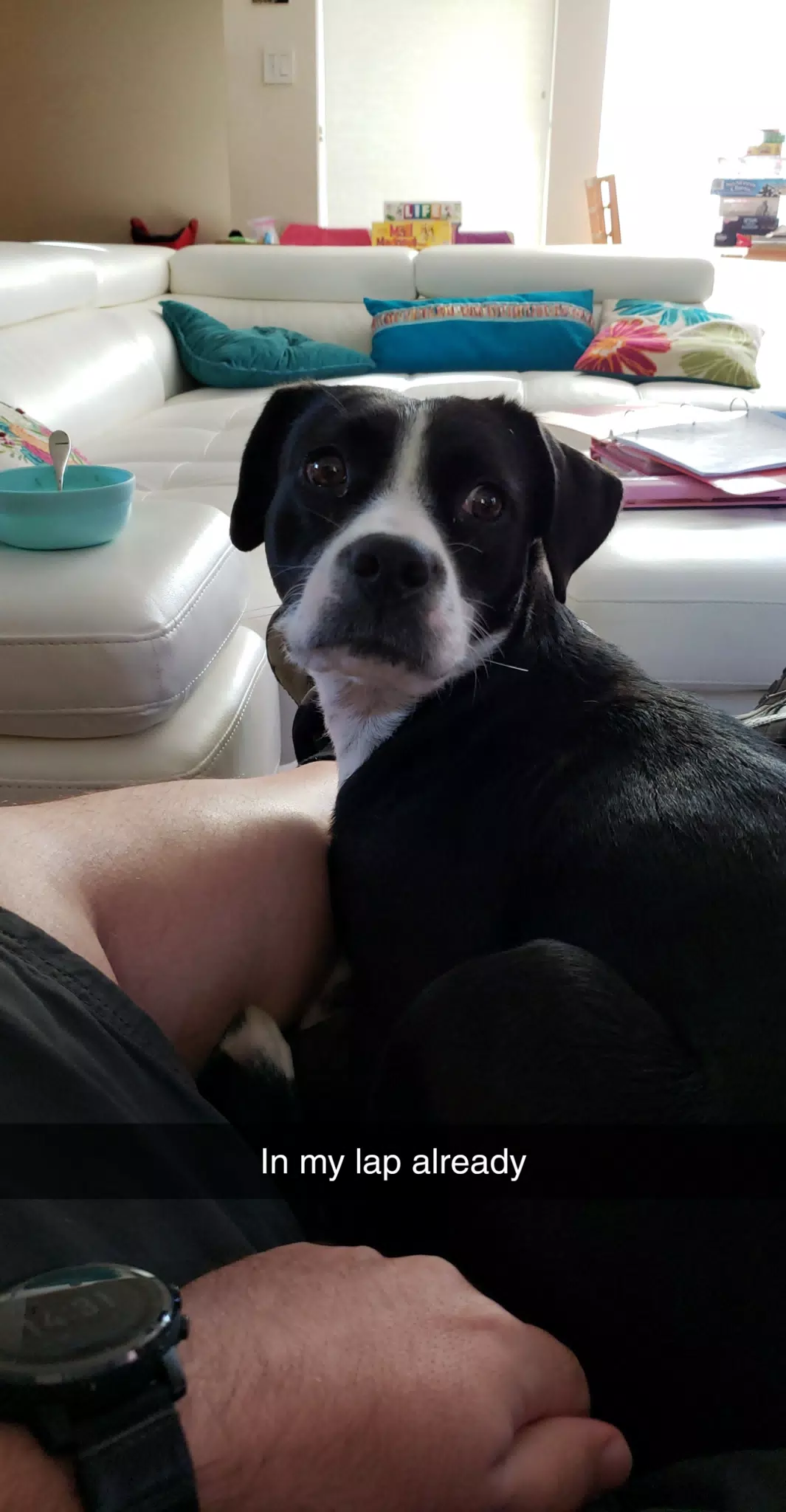 Mia on My Lap