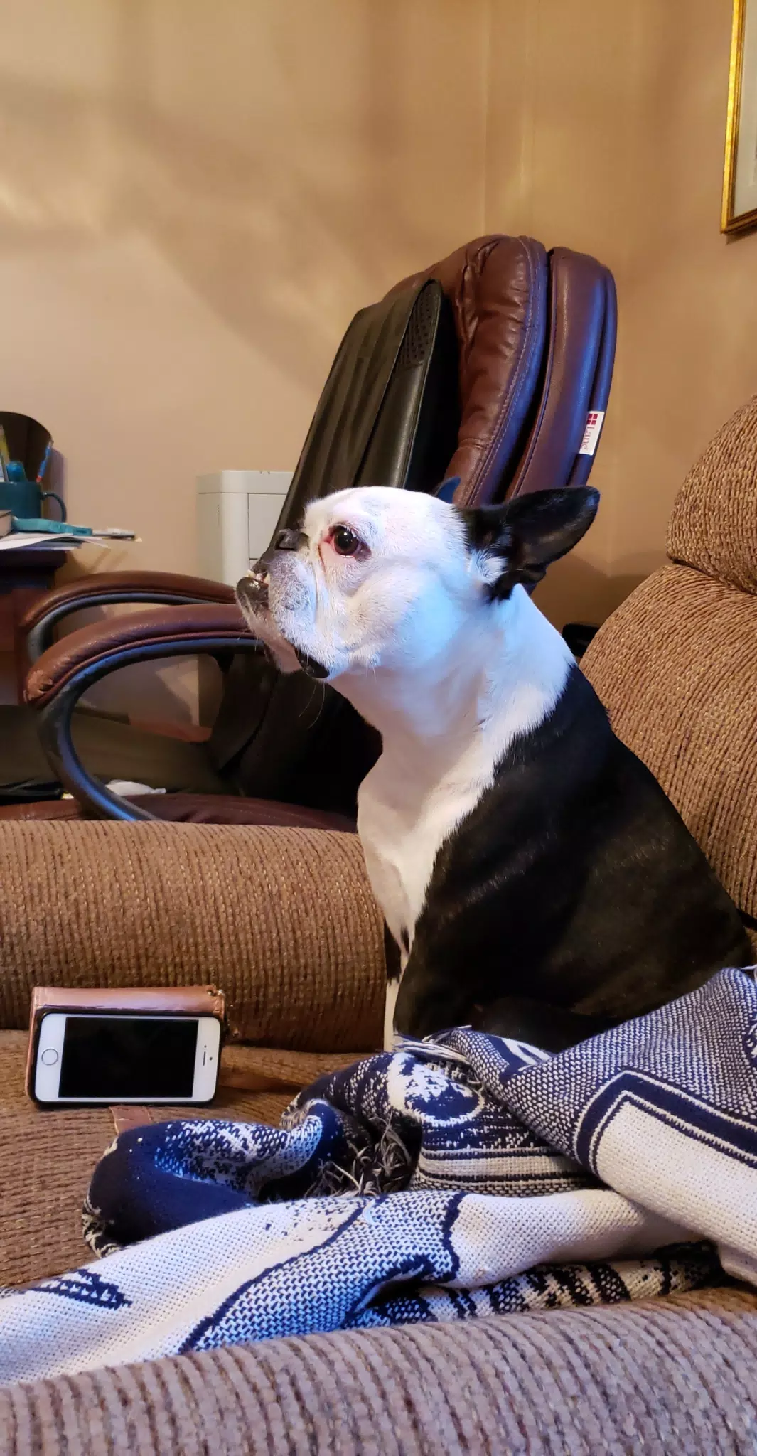 Truman the Boston in Frankfort