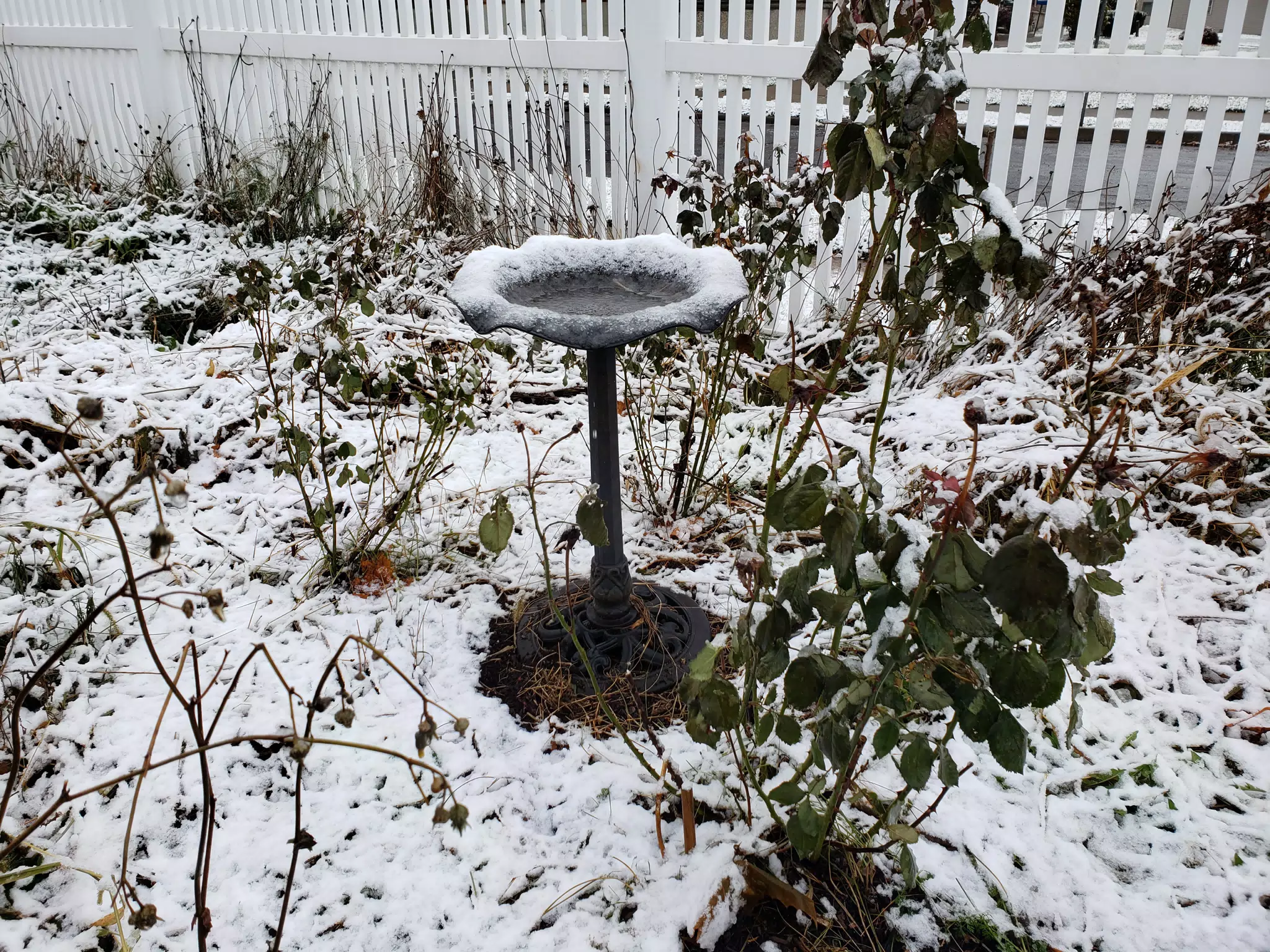 Winter in Frankfort