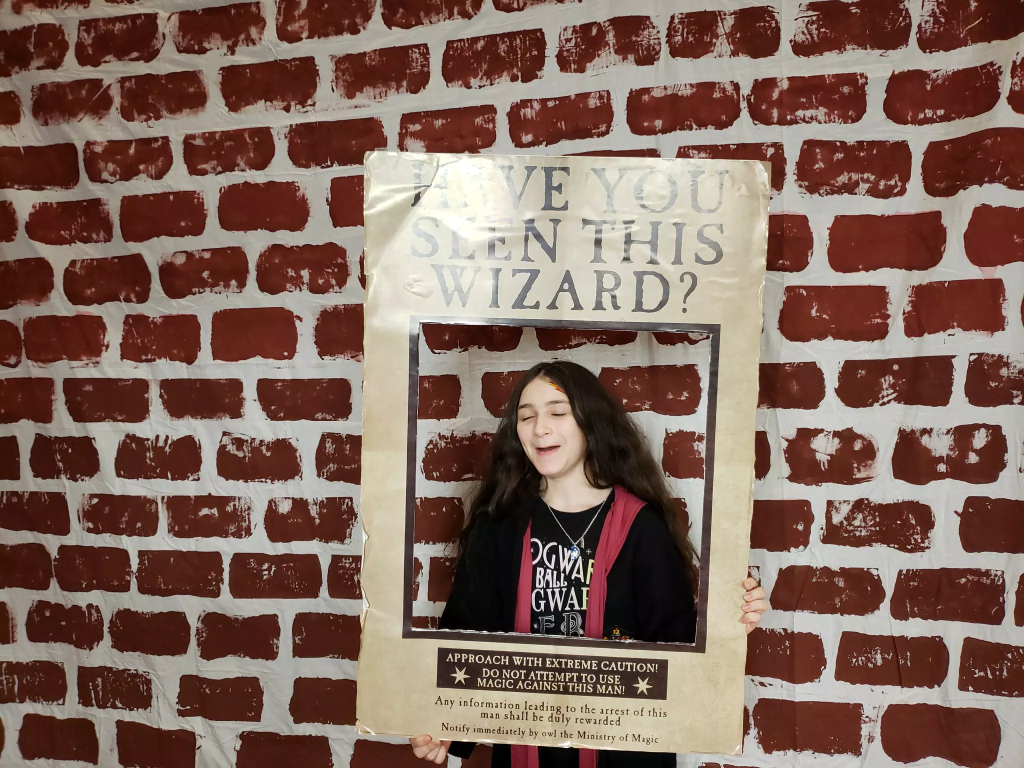 City of Carrollton Harry Potter Yuletide Ball 2020