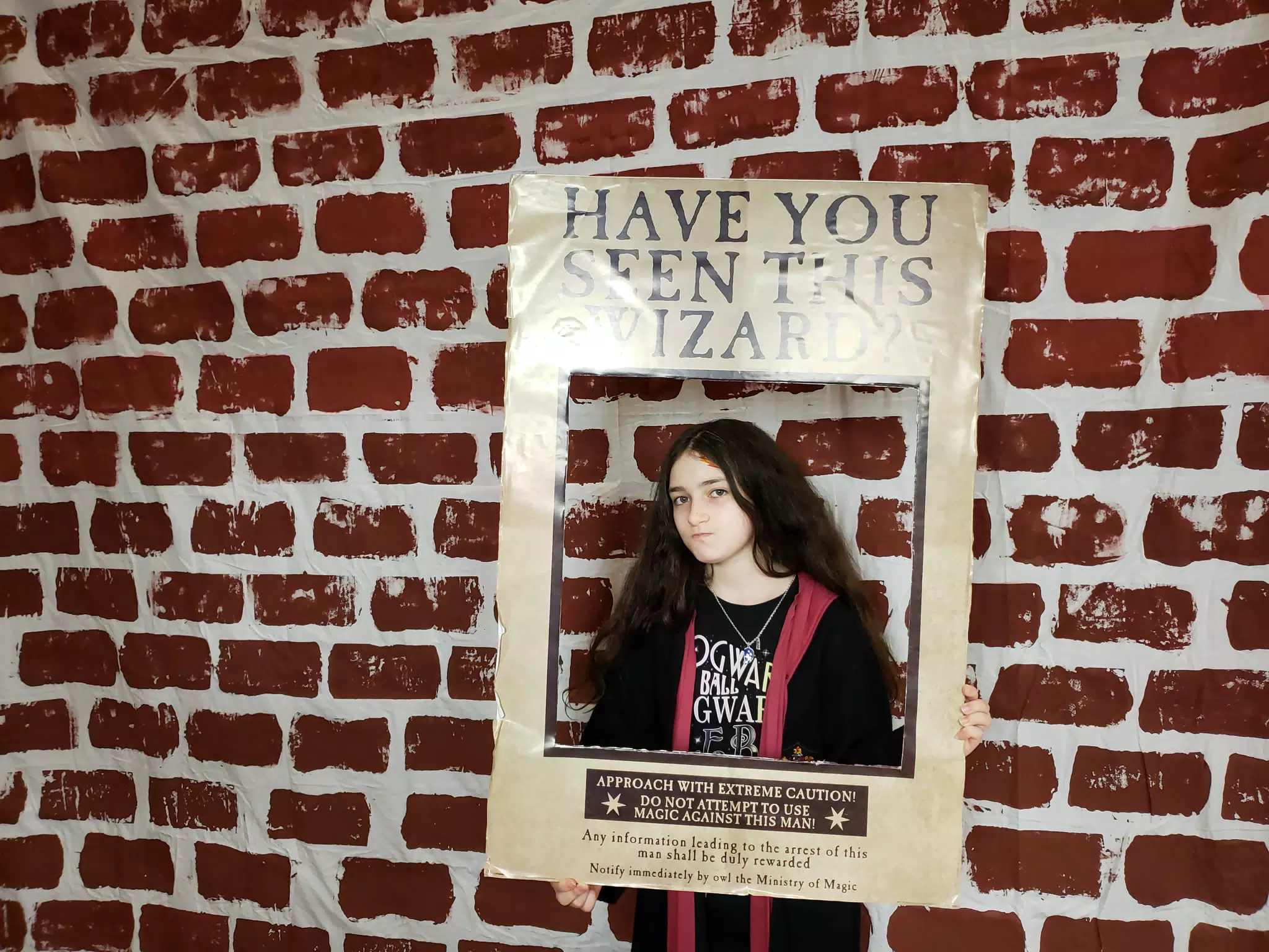 City of Carrollton Harry Potter Yuletide Ball 2020