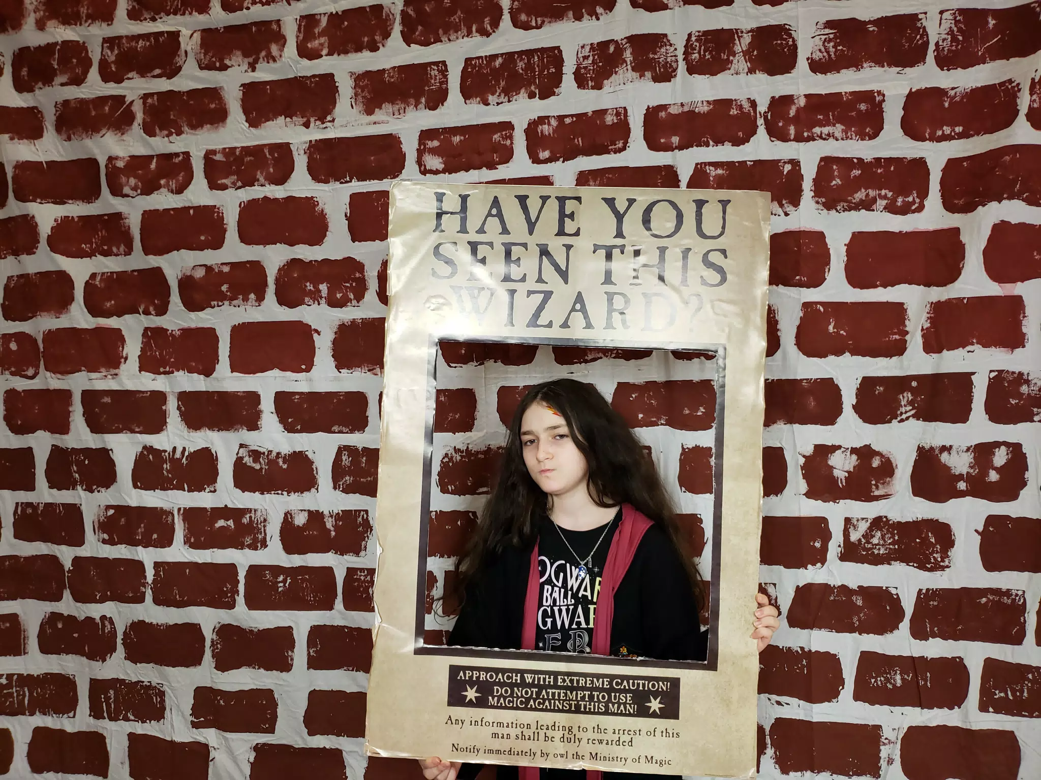 City of Carrollton Harry Potter Yuletide Ball 2020