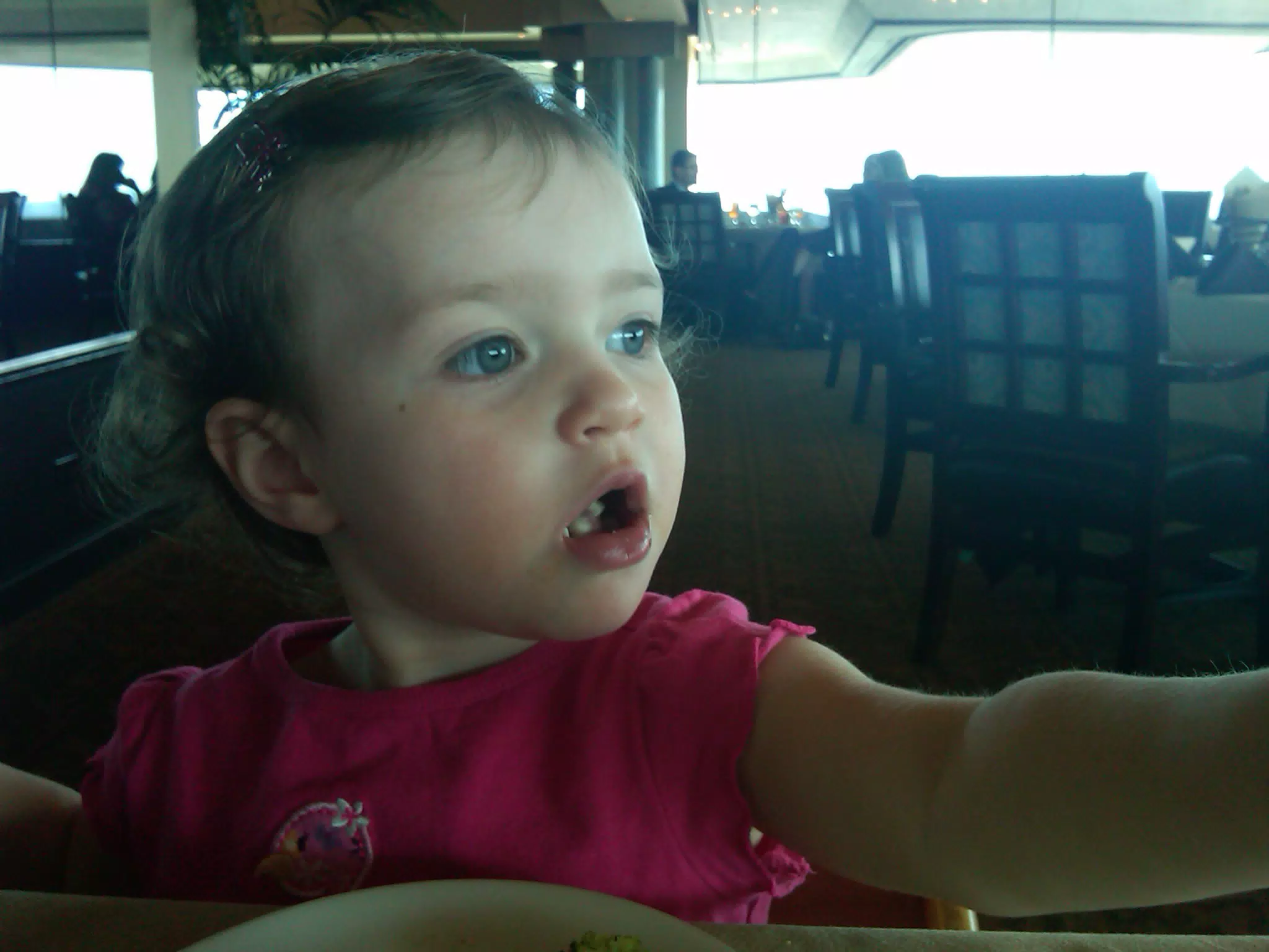 Liesl Spotted a Plane