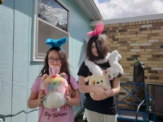Stuffies in Carrollton, Texas