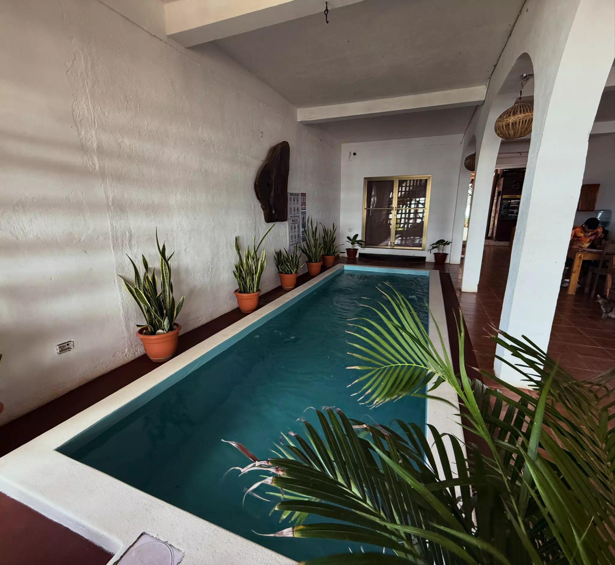 New Pool at the Simple Beach Lodge