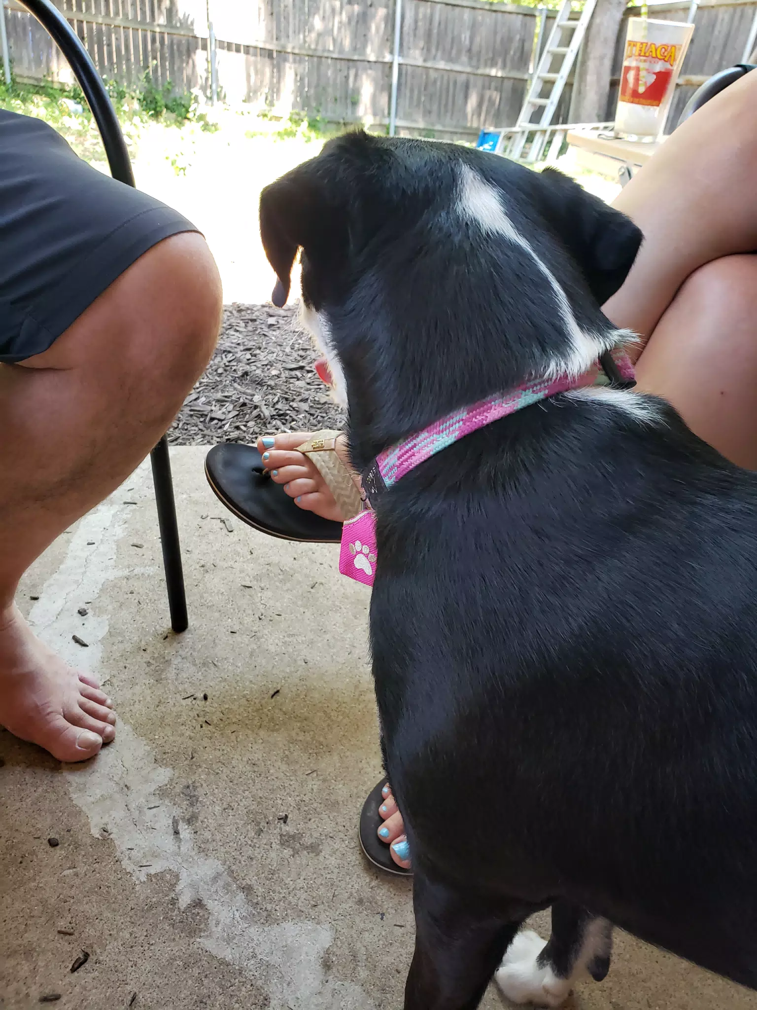 Mia