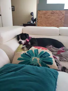 Mia Passed Out on the Couch