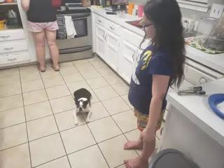 Little Kitchen Helper