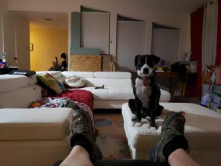 Mia Sitting on the Ottoman