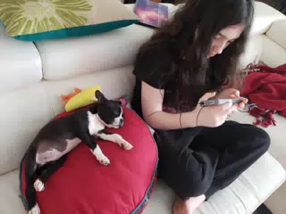 Clive Sleeping with Liesl
