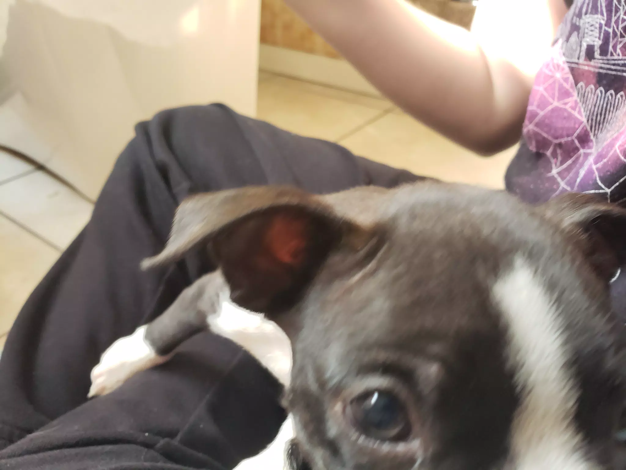 Clive Up Close