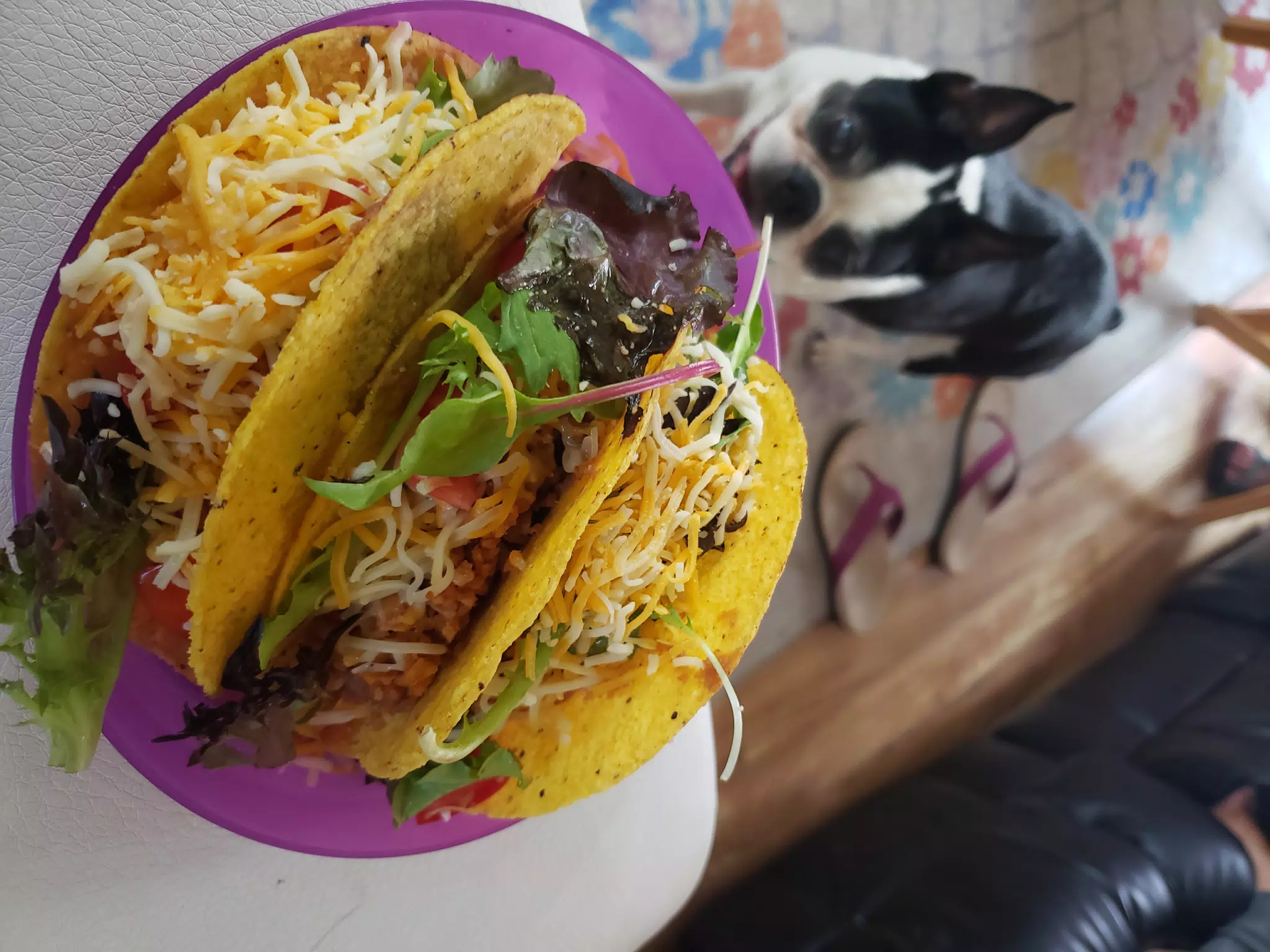 Taquitos and Lula