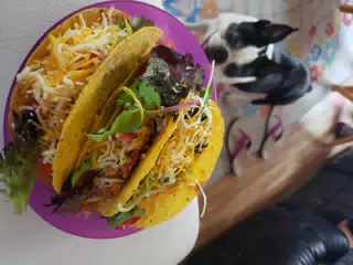 Taquitos and Lula