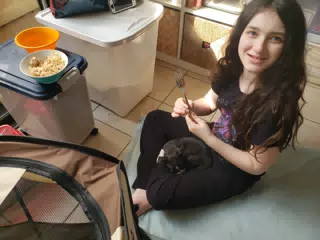 Liesl with Sleeping Clive the Boston Terrier