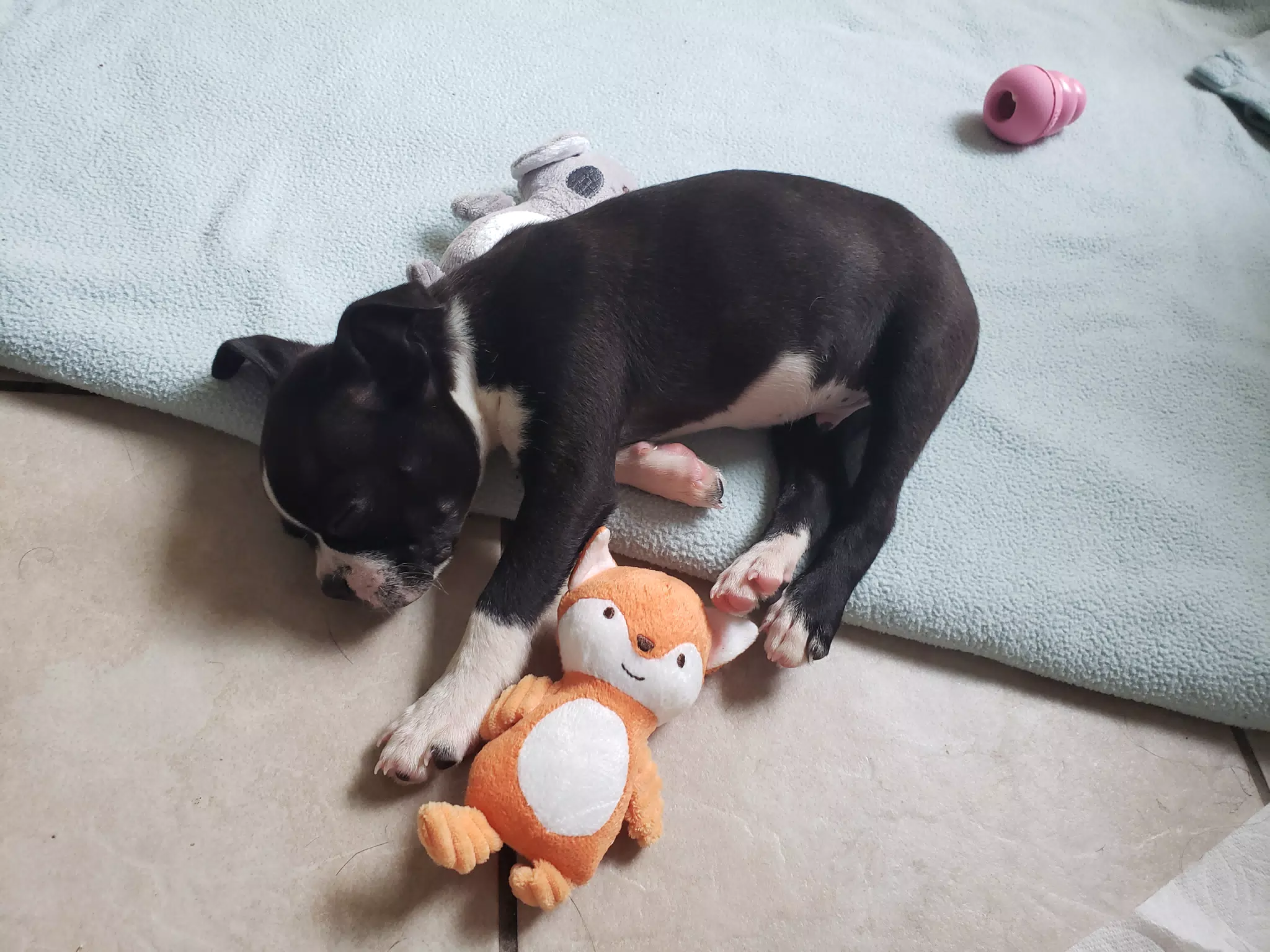 Sleeping Clive with His First Toy