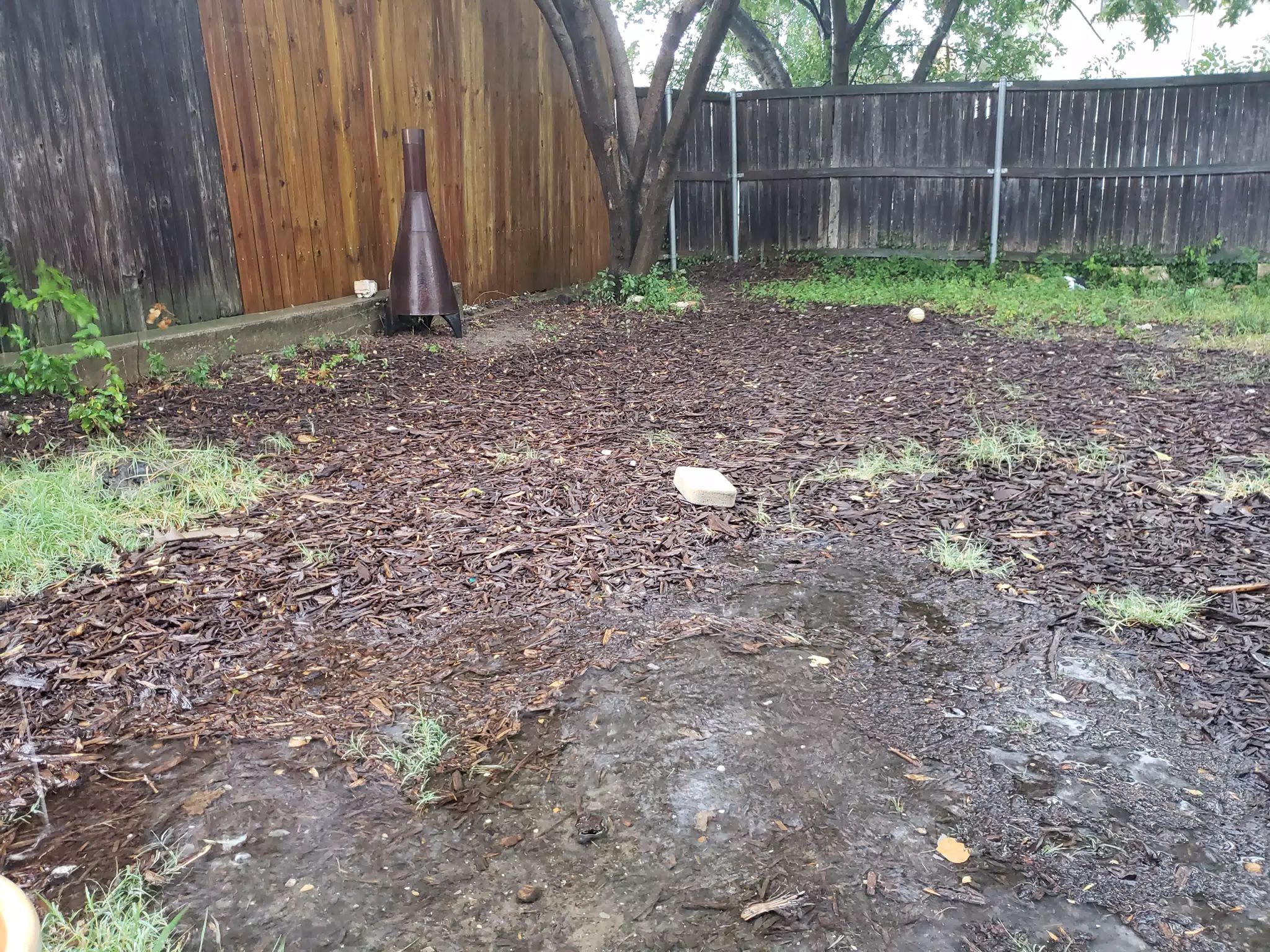 Rain and Water in Back Yard