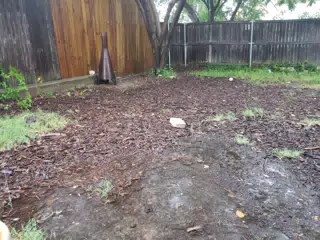 Rain and Water in Back Yard