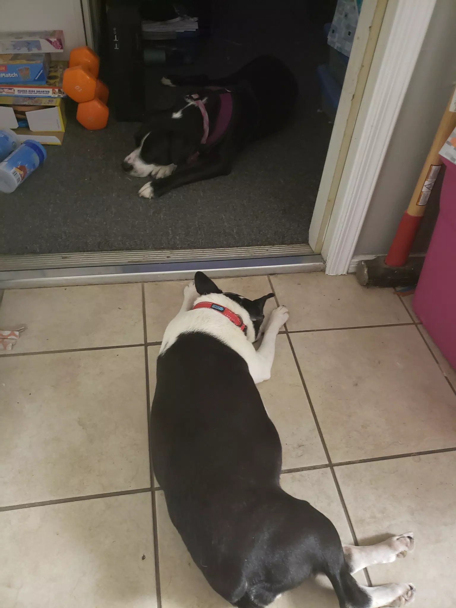 Mia & Lula in Office Doorway