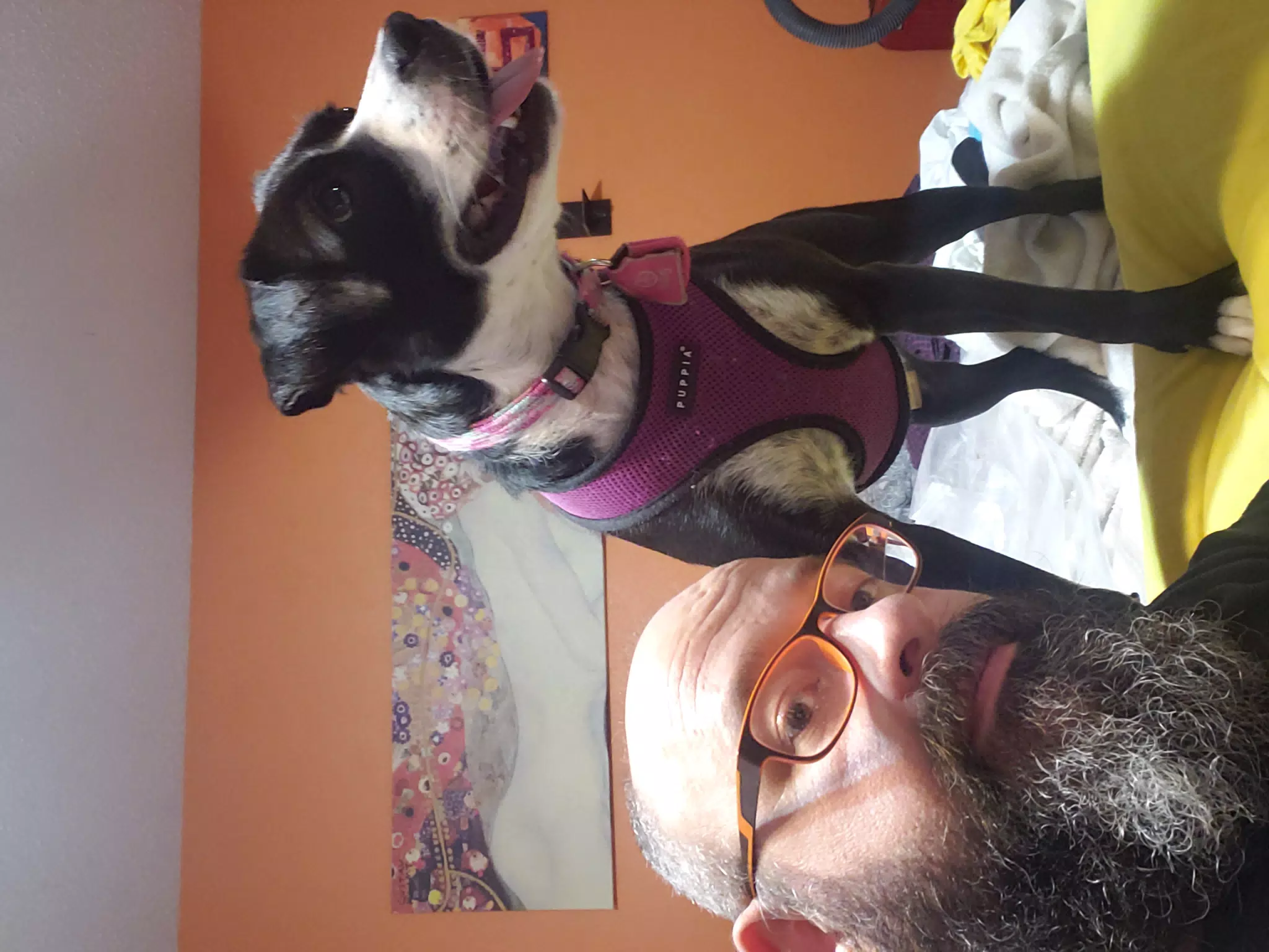 Scott with Mia the Blue Heeler