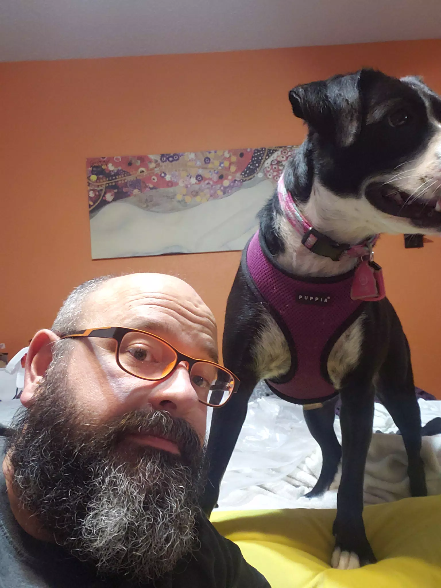Mia & Me