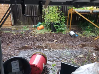 Rain in Back Yard