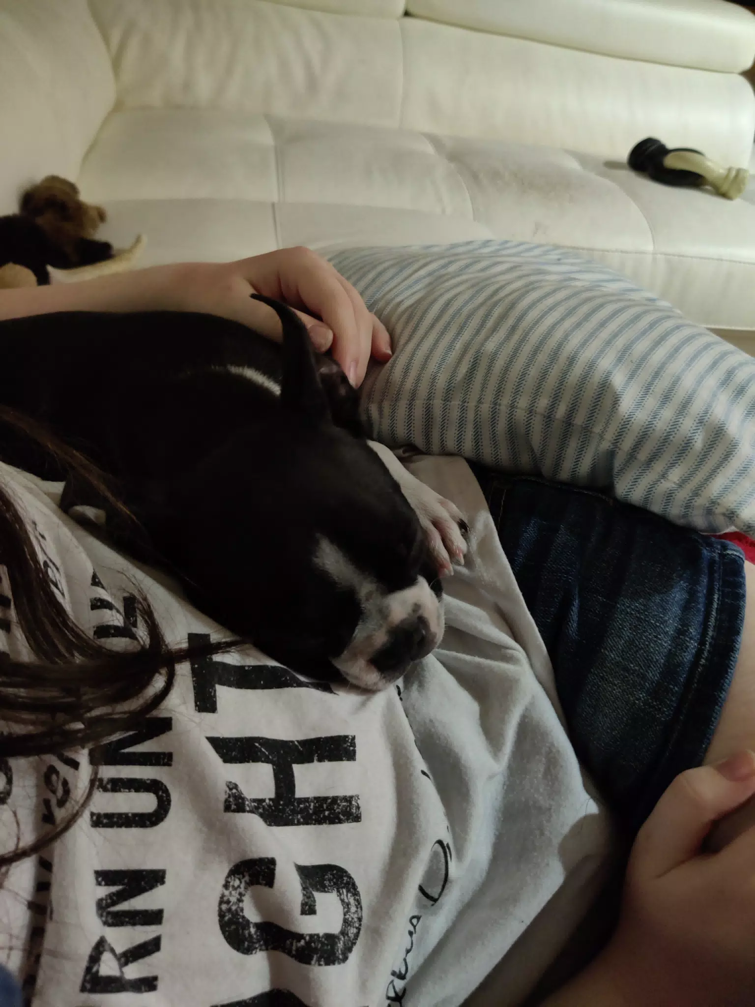 Sleepy Clive