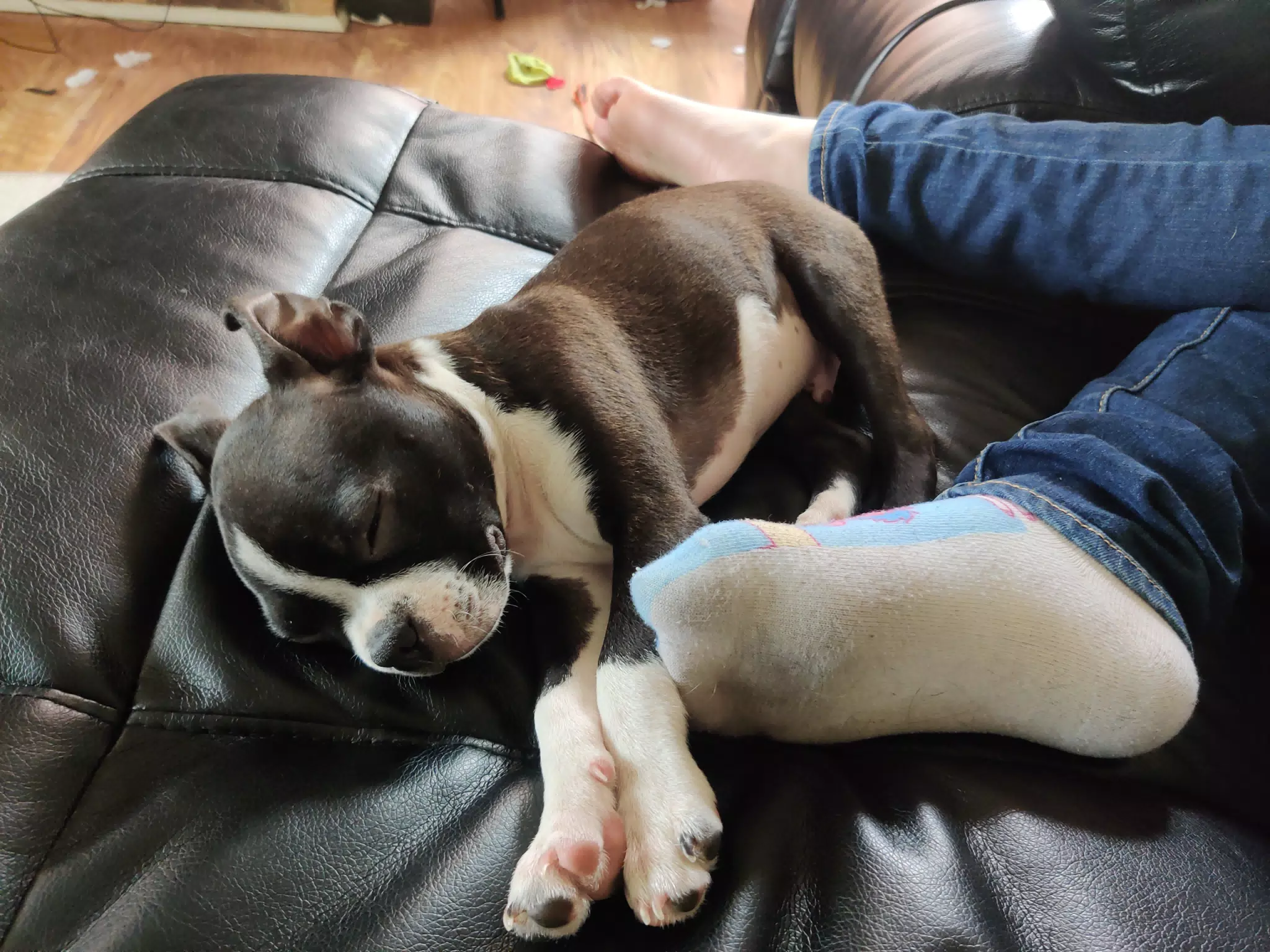 Baby Clive Sleeping at Liesl's Feet