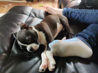 Baby Clive Sleeping at Liesl's Feet