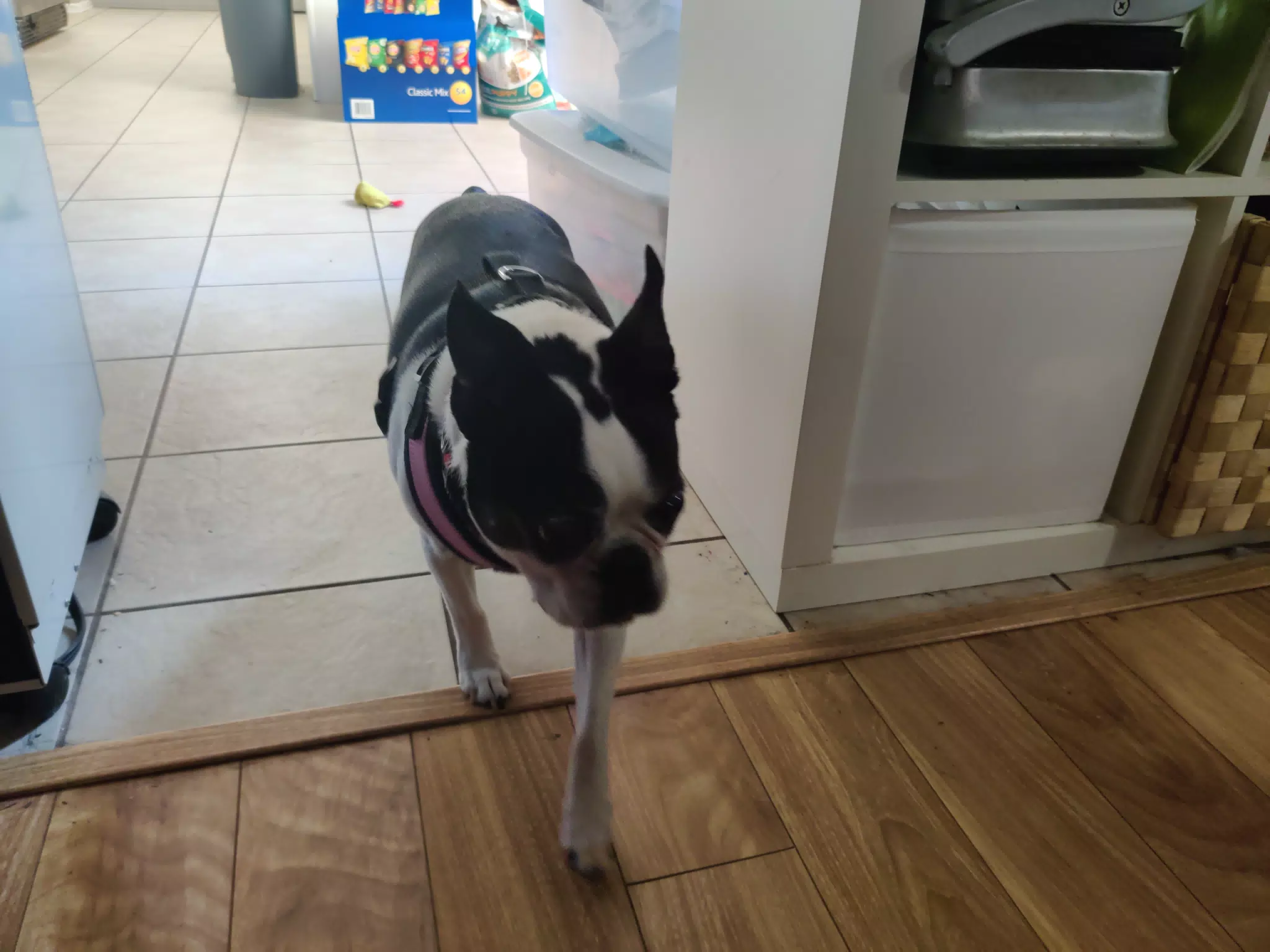 Lula Leaving Kitchen