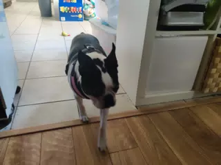 Lula Leaving Kitchen