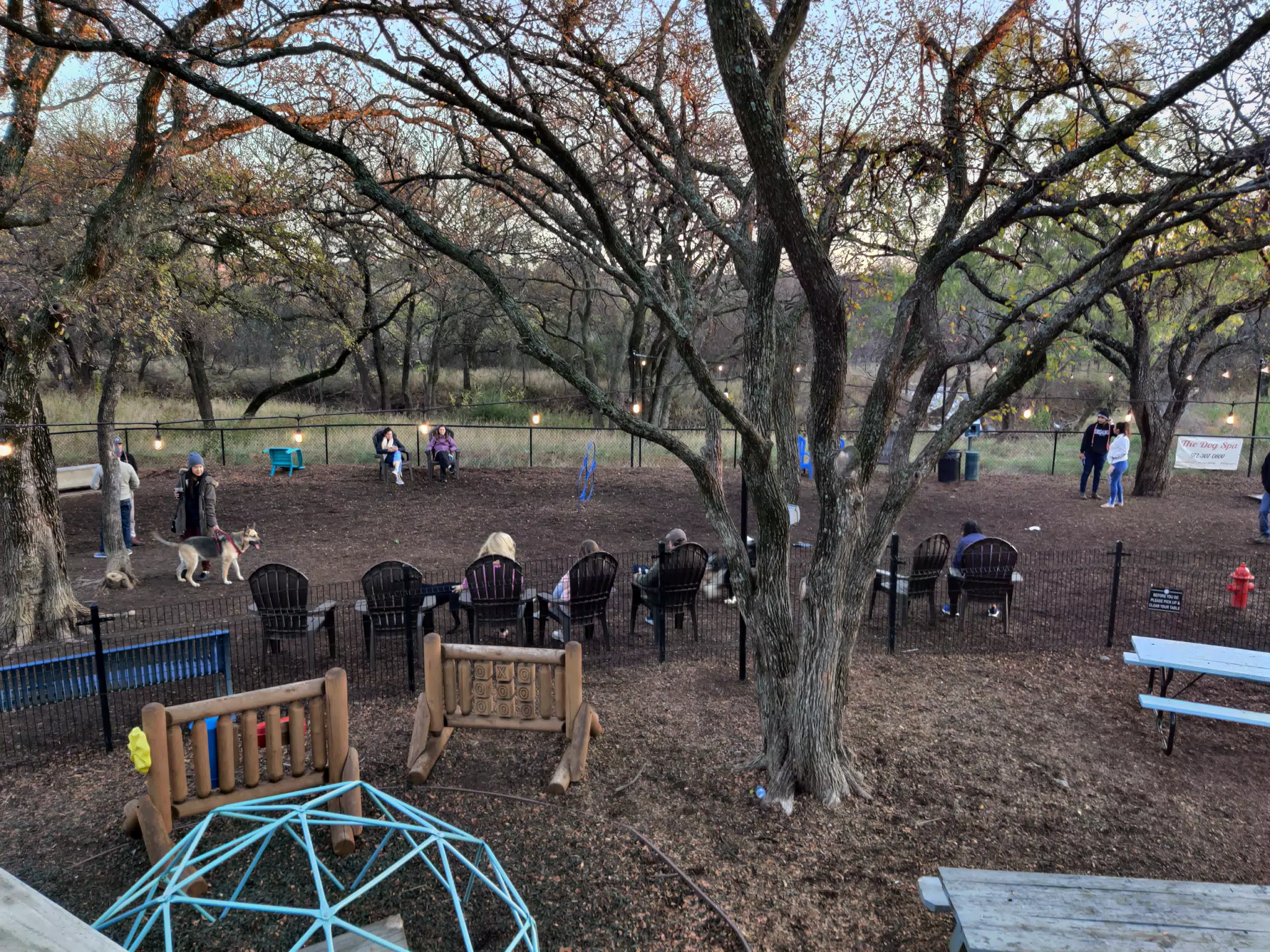 Dog Park at The Shack