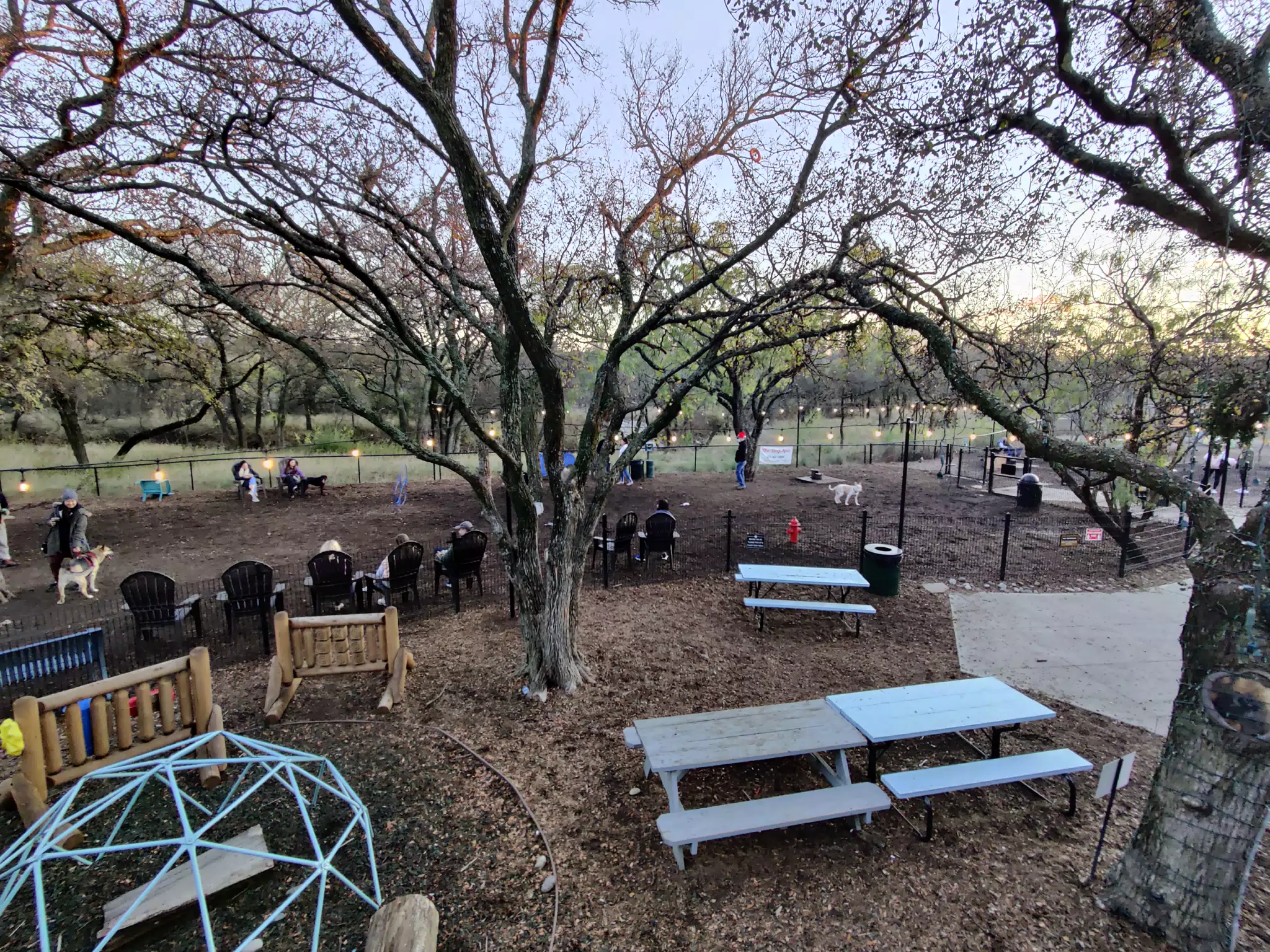 Dog Park at Austin Ranch