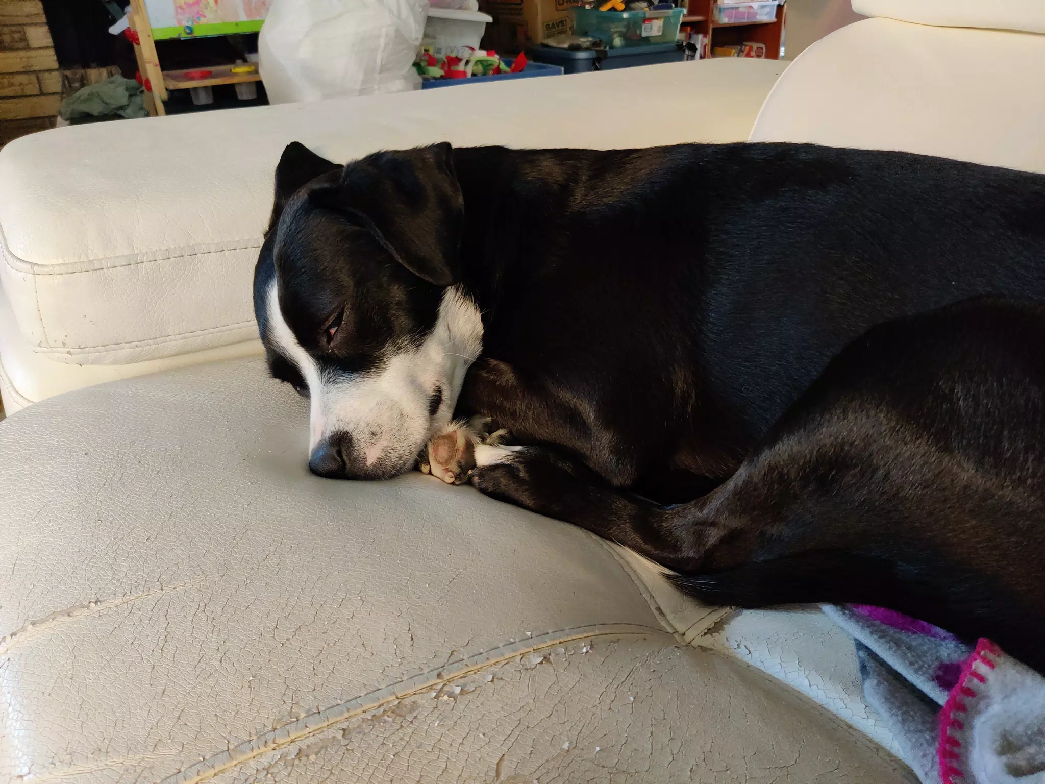 Mia Napping