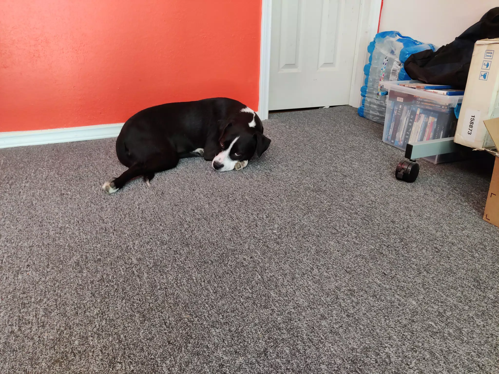 Mia in the Office