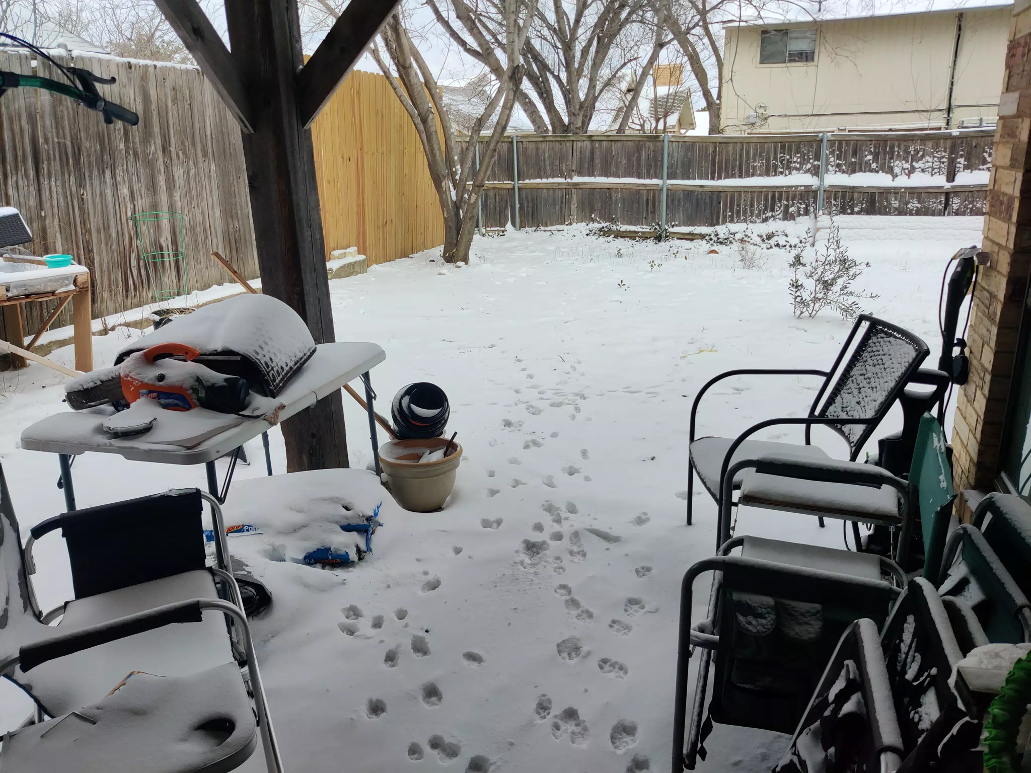 Texas Snowpacalypse