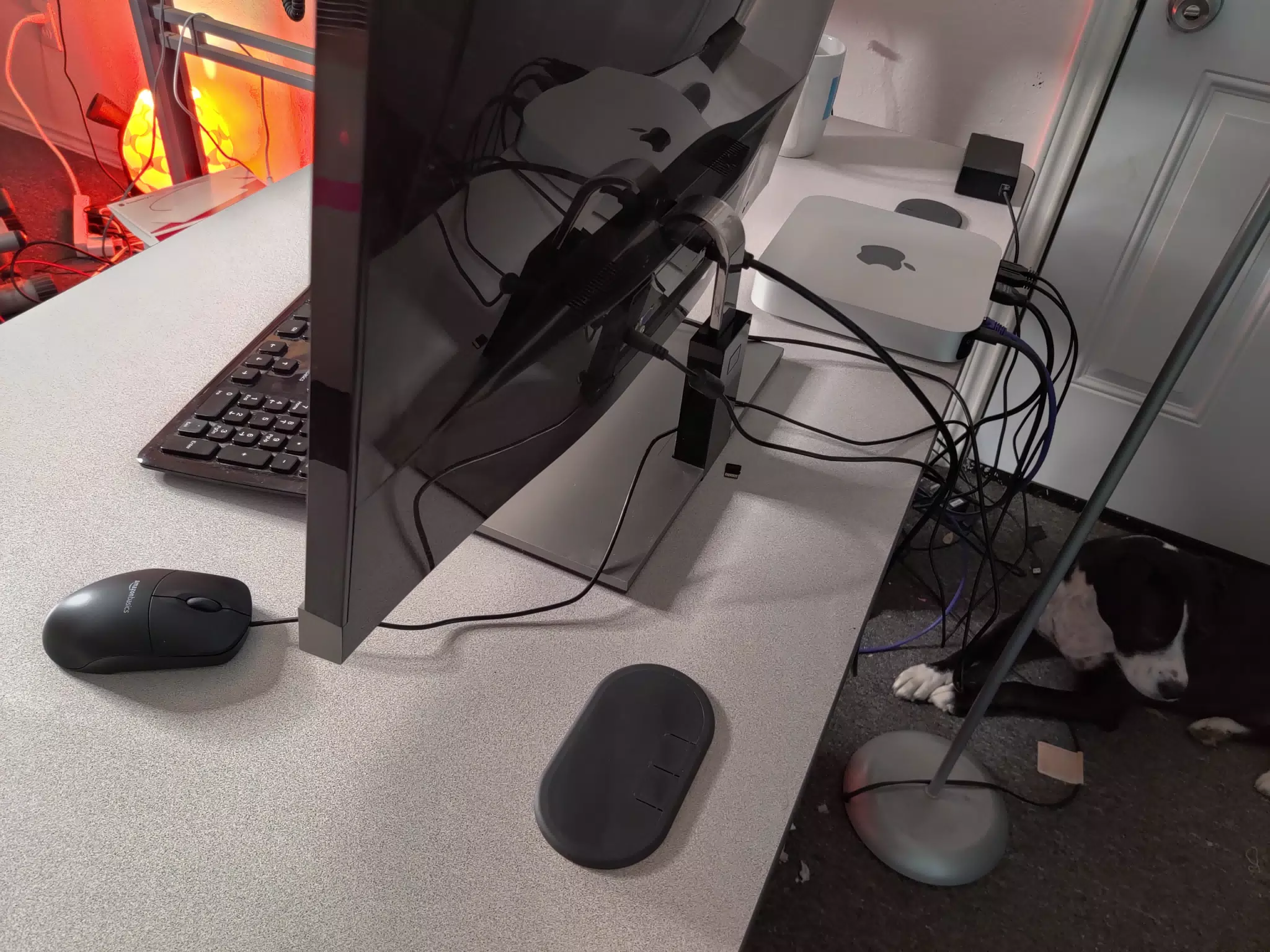 Mac Mini M1 in Dallas Office