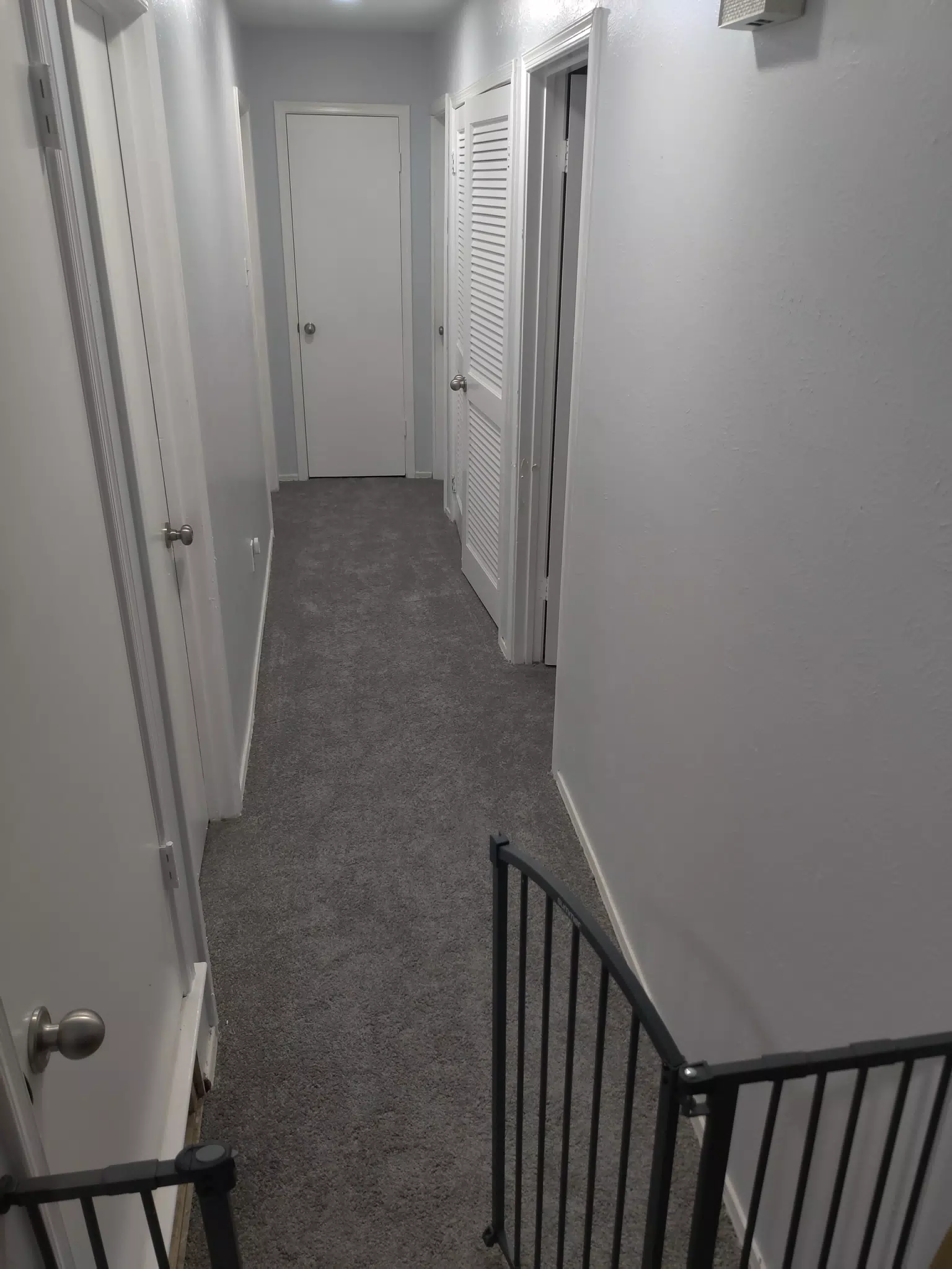 New Carpeting