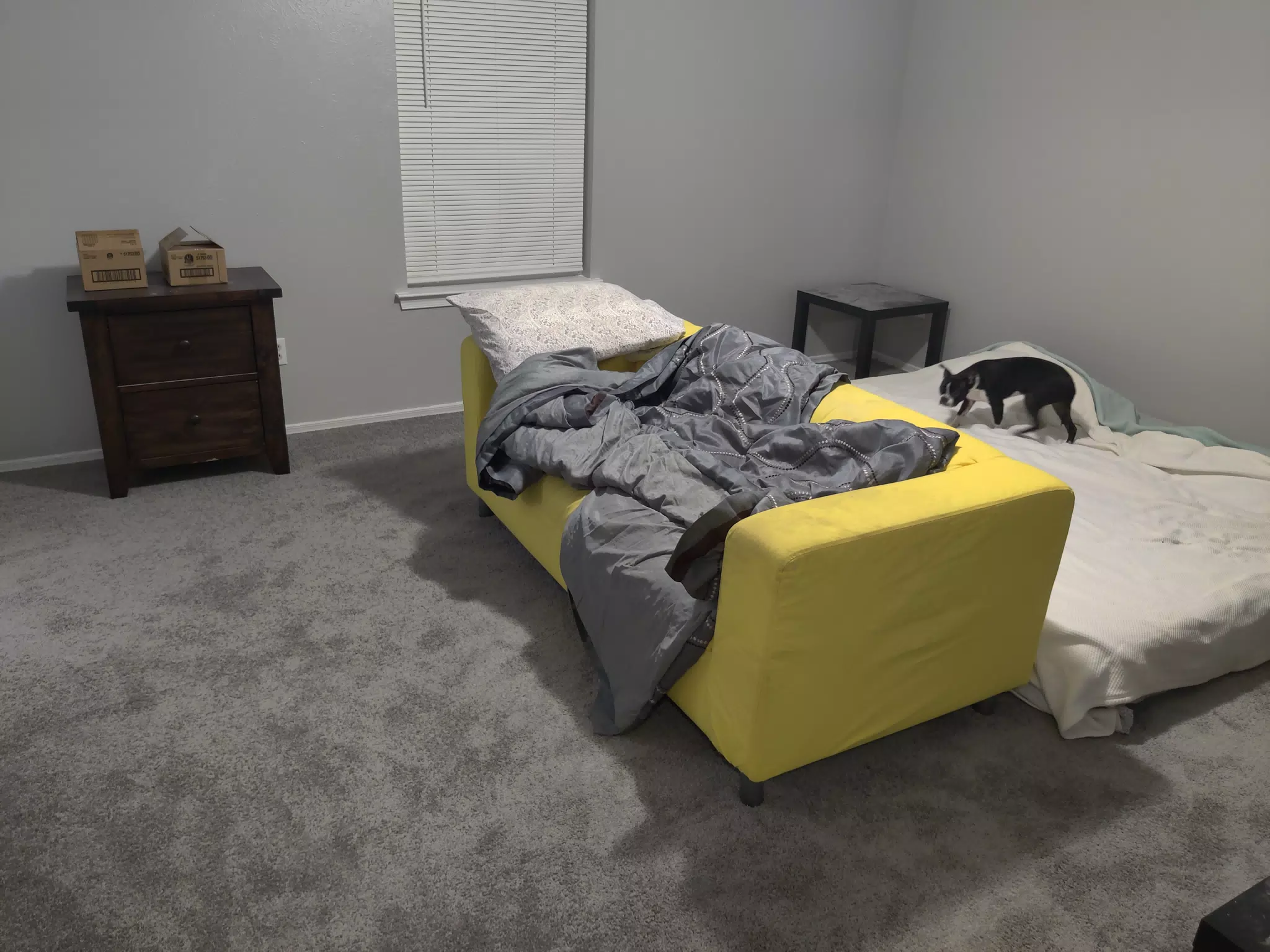 New Carpeting