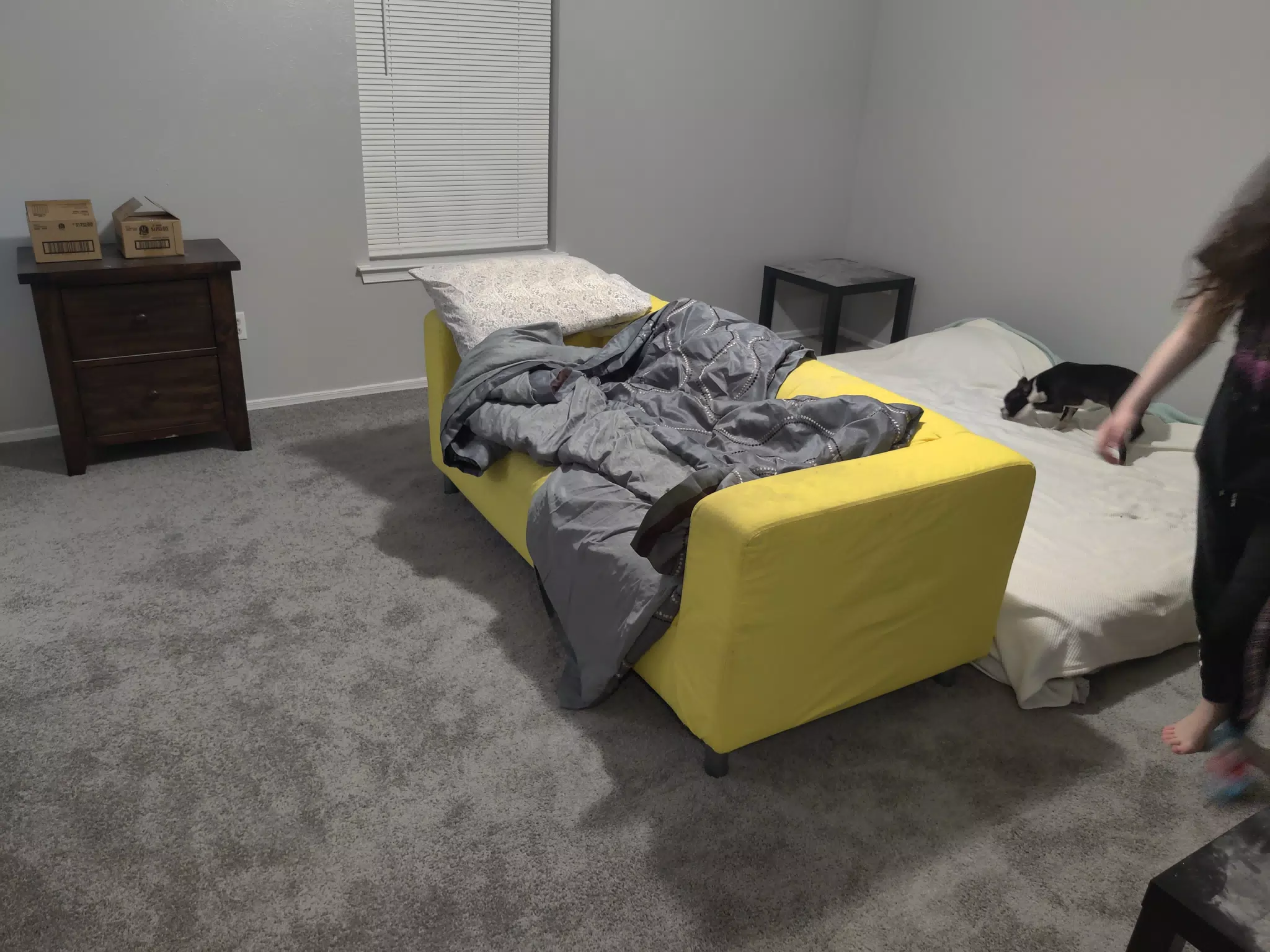 New Carpeting