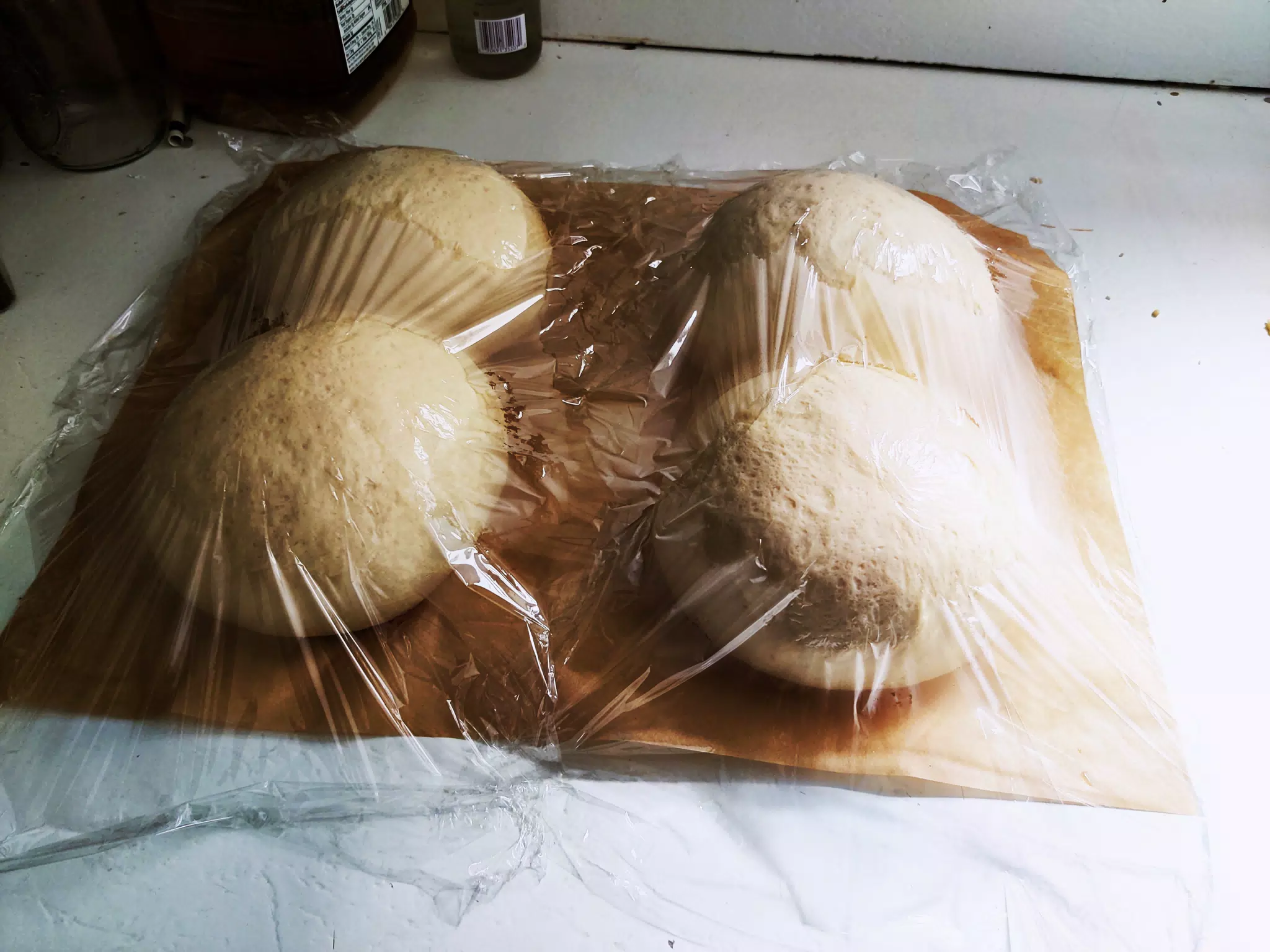 Pizza Dough