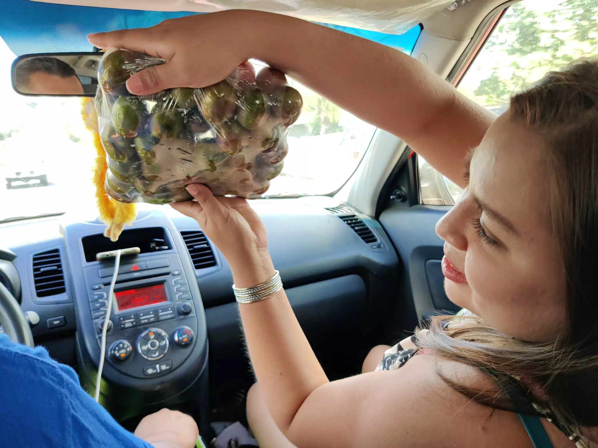 Bag of Fruit Bought on the Street in Managua