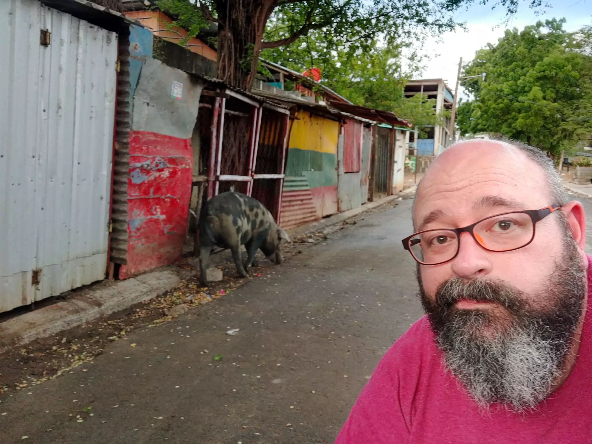 Pig on the Street in Casares, Nicaragua
