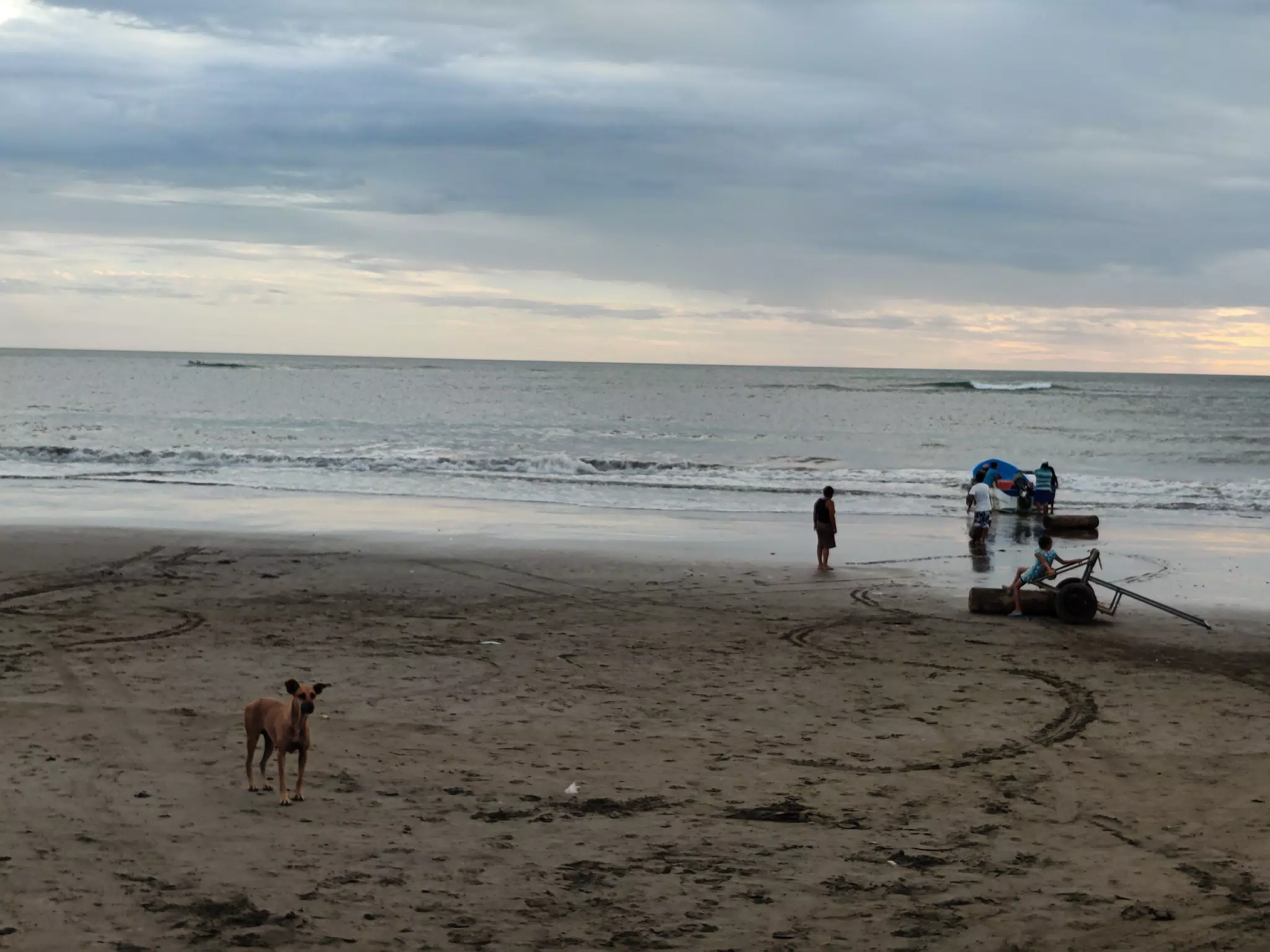 Dog and Fishermen on Caseras Beach, Nicaragua