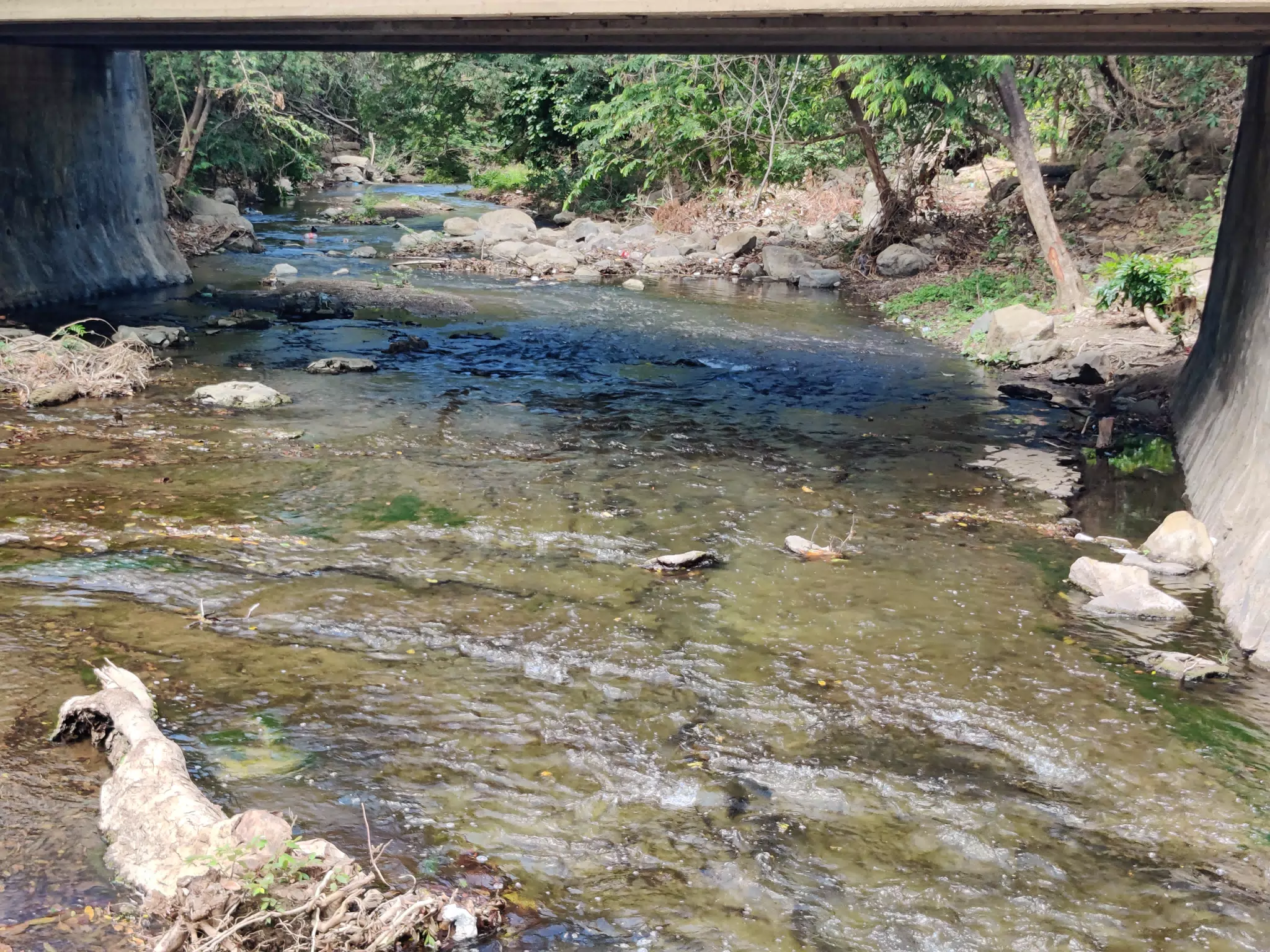 Creek in Nicaragua on the Road to Pochomil
