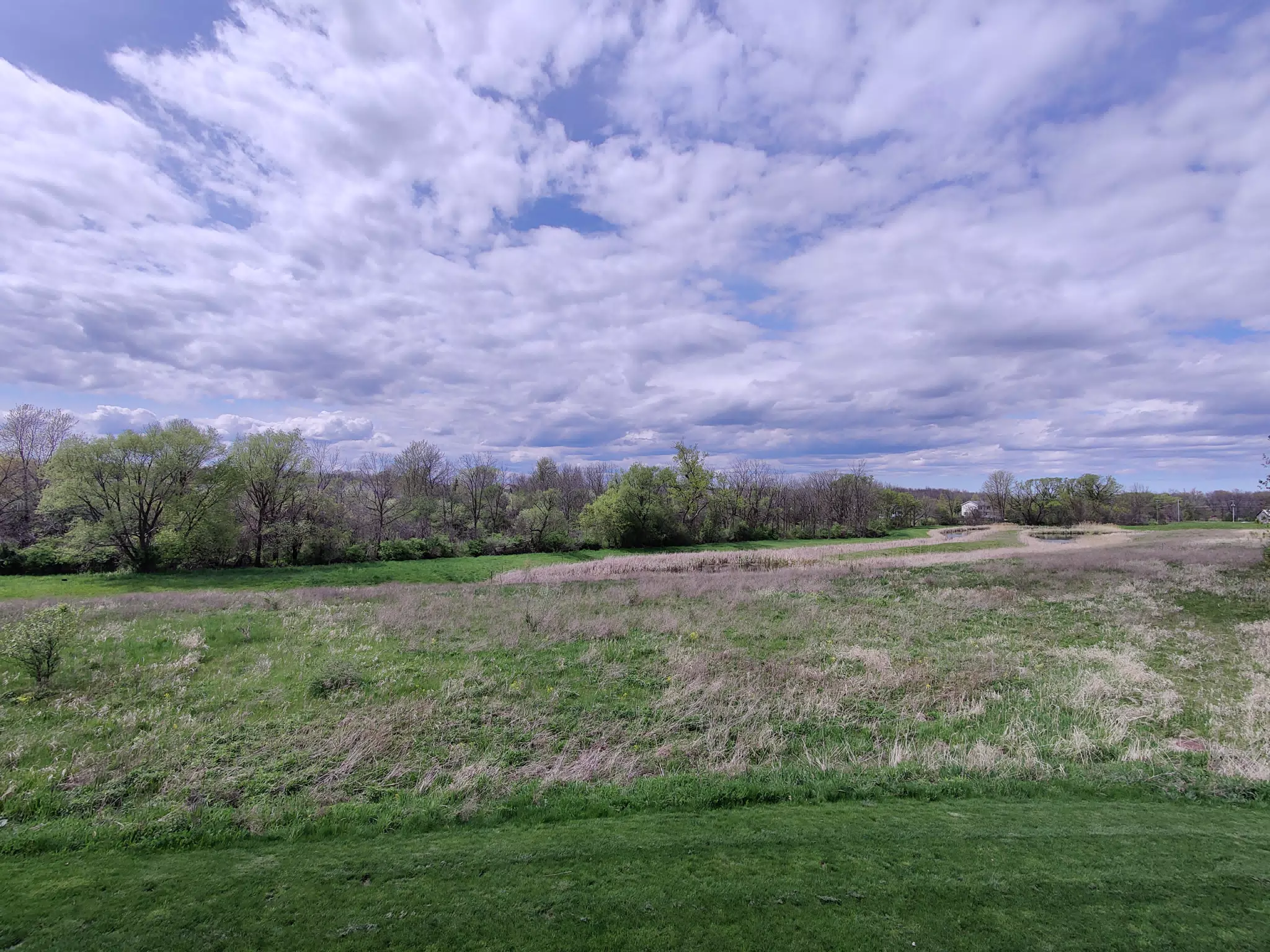 Dad's New Backyard