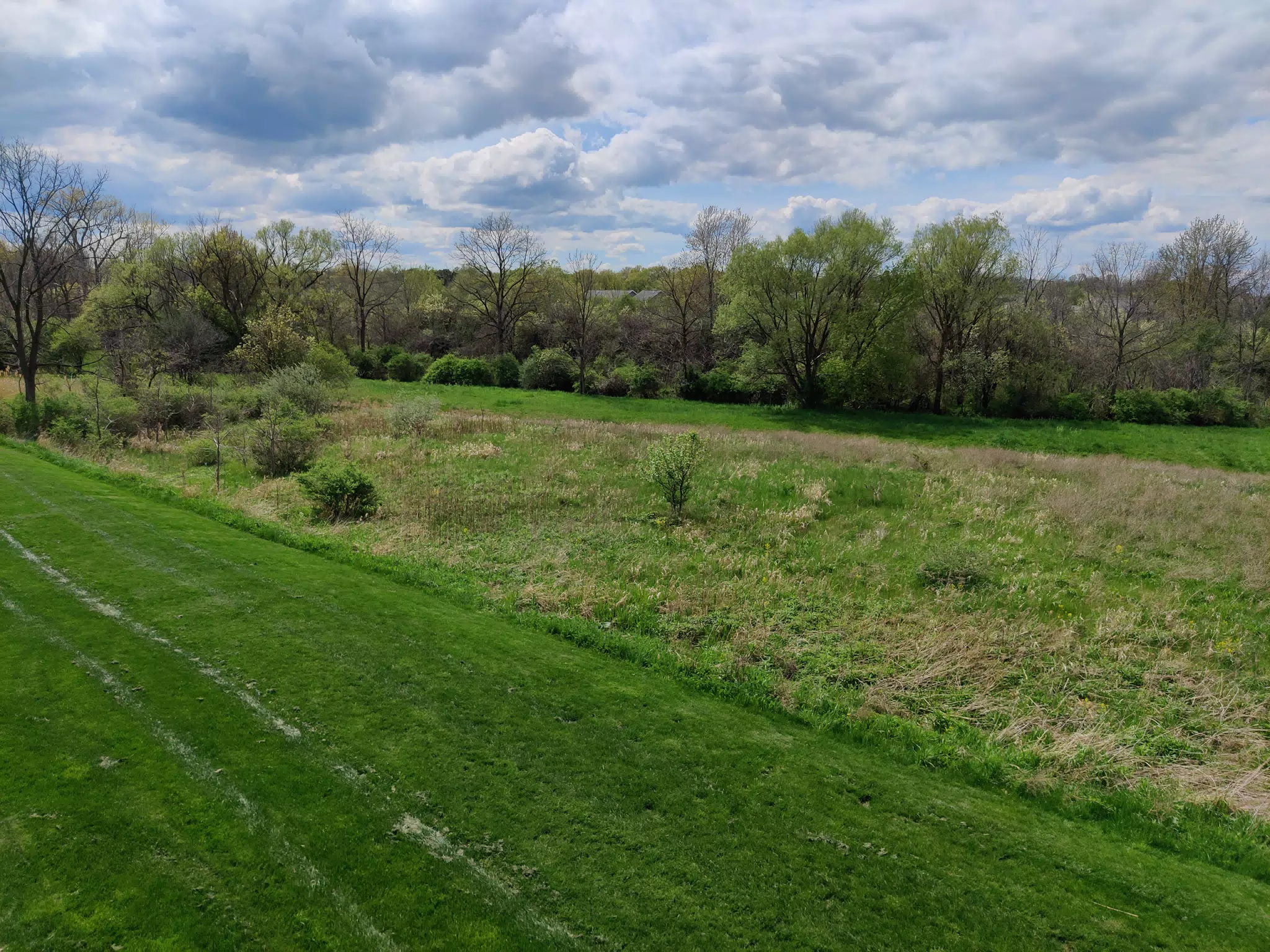 Dad's New Backyard