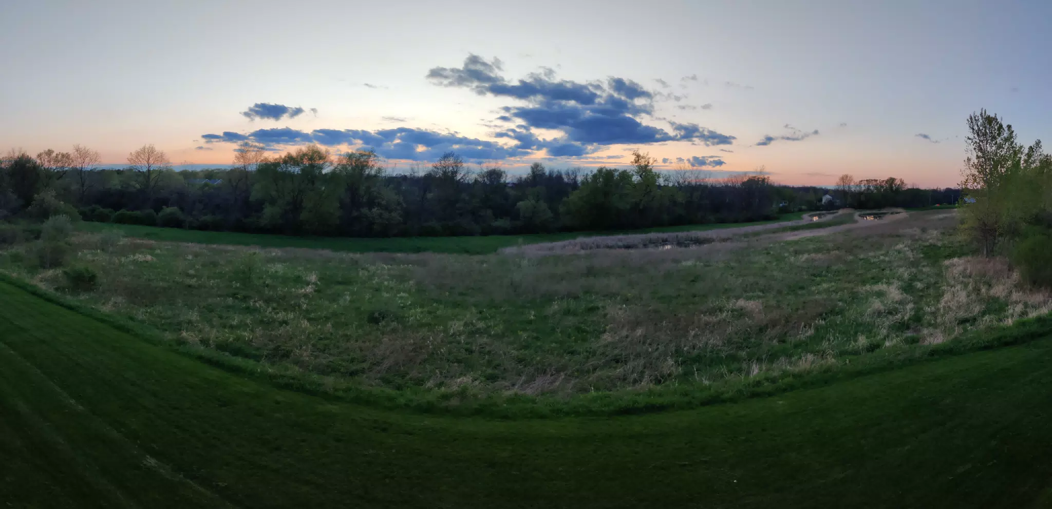 Backyard Pano
